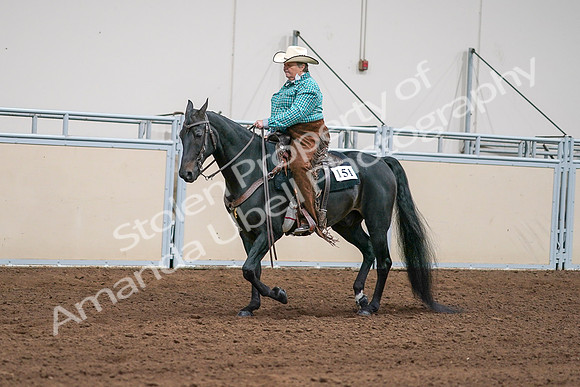 2020 - AB Morgan Horse - Sun, Sept 06 - 01586