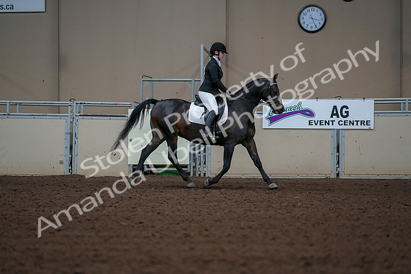 2019 Morgan Horse Show - Aug 30, 2019 - 18542