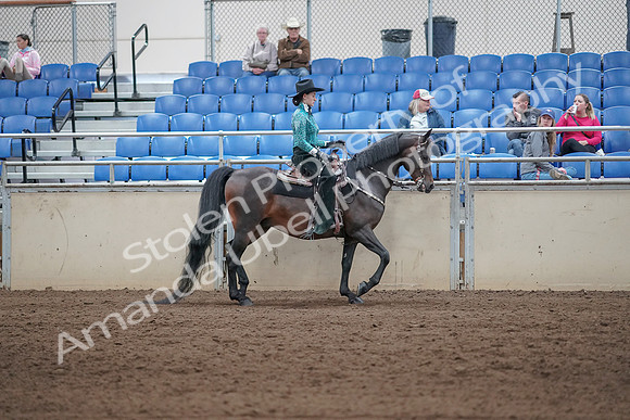 2019 Morgan Horse Show - Sept 01, 2019 - 07117