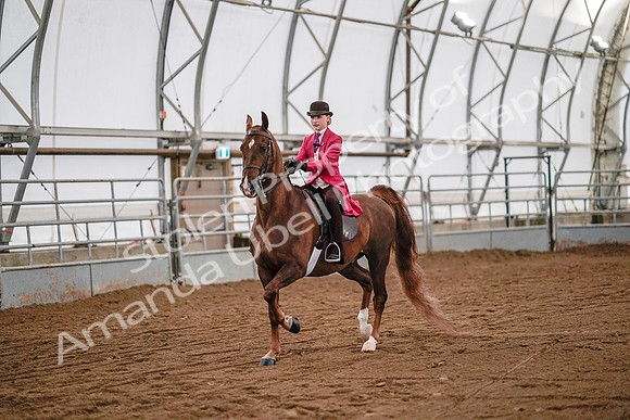 July 19, 2019 - 8815