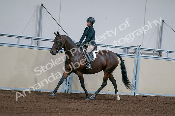 2020 - AB Morgan Horse - Fri, Sept 04 - 01657
