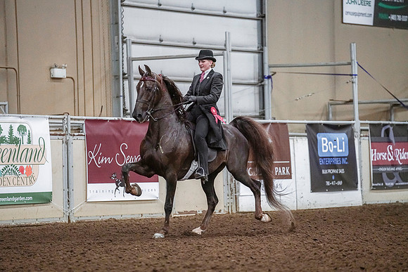 Spring Fling - Saturday - April 20, 2019  -  03659
