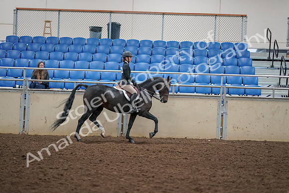 2019 Morgan Horse Show - Aug 30, 2019 - 12458