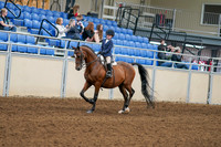 2020 - AB Morgan Horse - Fri, Sept 04 - 04468