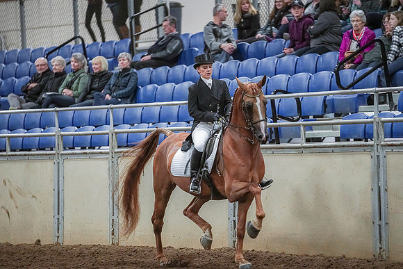 Spring Fling - Saturday - April 20, 2019  -  03713