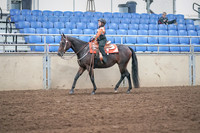 2019 Morgan Horse Show - Sept 01, 2019 - 05731