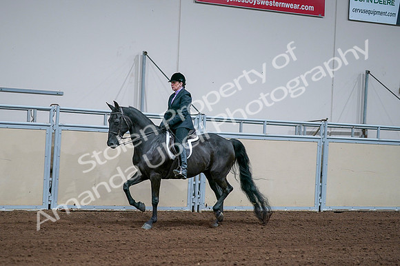 2020 - AB Morgan Horse - Fri, Sept 04 - 01566