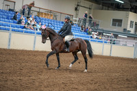 2020 - AB Morgan Horse - Sat, Sept 05 - 09307