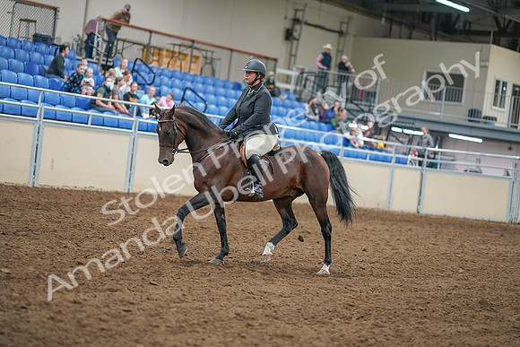 2020 - AB Morgan Horse - Sat, Sept 05 - 09307