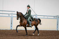 2020 - AB Morgan Horse - Fri, Sept 04 - 03295