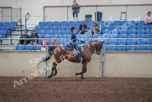 2019 Morgan Horse Show - Aug 31, 2019 - 09695
