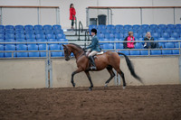2019 Morgan Horse Show - Aug 31, 2019 - 17124