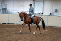 2020 - AB Morgan Horse - Fri, Sept 04 - 01460