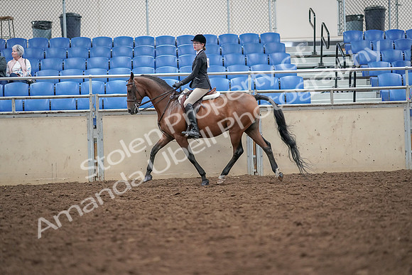 2019 Morgan Horse Show - Aug 30, 2019 - 20161