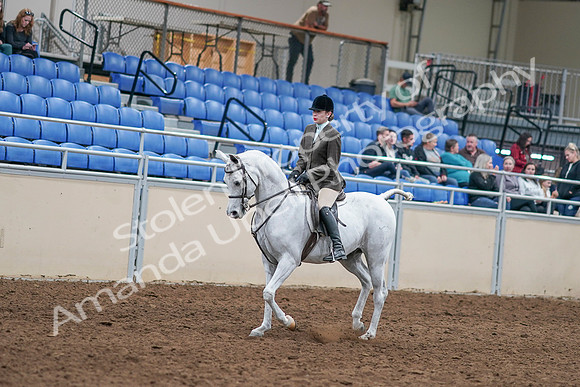 2020 - AB Morgan Horse - Sat, Sept 05 - 14231