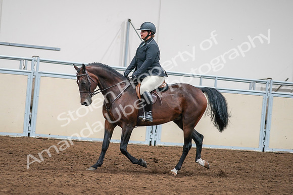 2020 - AB Morgan Horse - Sat, Sept 05 - 09335