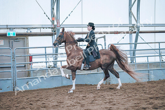 July 20, 2019 - 24044