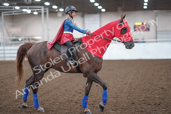 2019 Morgan Horse Show - Aug 31, 2019 - 10008