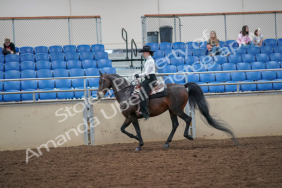 2019 Morgan Horse Show - Aug 30, 2019 - 16873