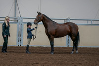 2020 - AB Morgan Horse - Fri, Sept 04 - 01007