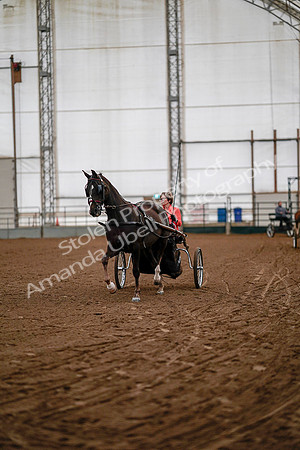 July 19, 2019 - 6695