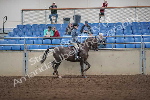 2019 Morgan Horse Show - Aug 31, 2019 - 07407