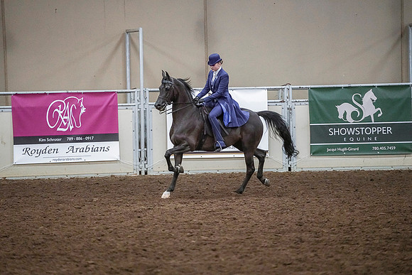 Spring Fling - Saturday - April 20, 2019  -  03909