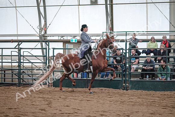 July 20, 2019 - 17141