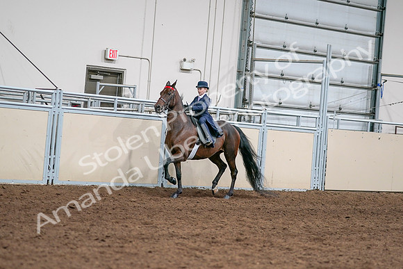 2020 - AB Morgan Horse - Sat, Sept 05 - 04795
