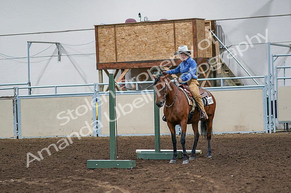 2020 - AB Morgan Horse - Fri, Sept 04 - 00128