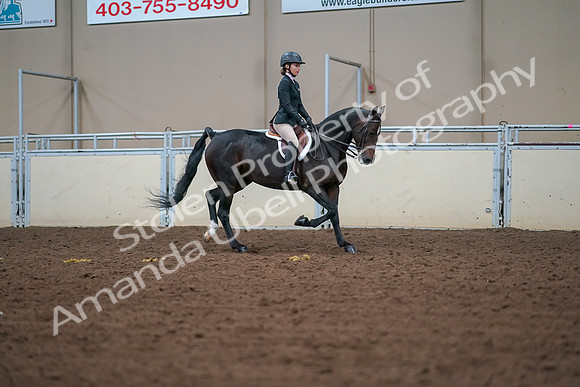2019 Morgan Horse Show - Aug 30, 2019 - 20764