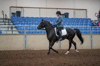 2019 Morgan Horse Show - Aug 31, 2019 - 07156