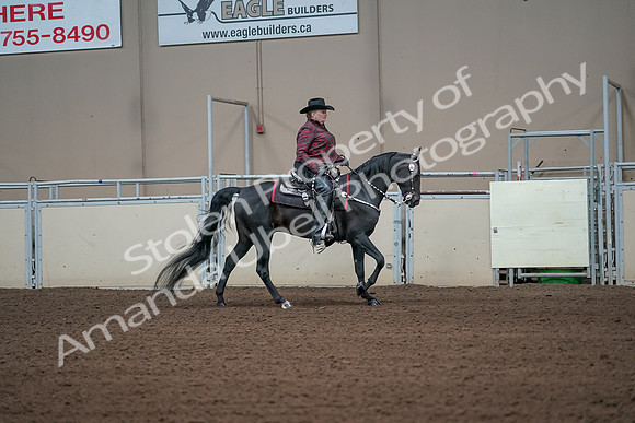 2019 Morgan Horse Show - Aug 31, 2019 - 10719