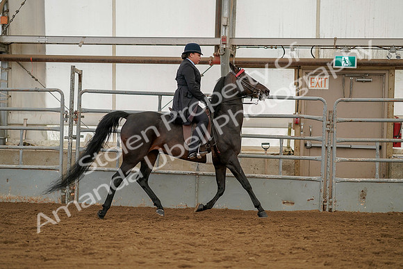 July 20, 2019 - 04527