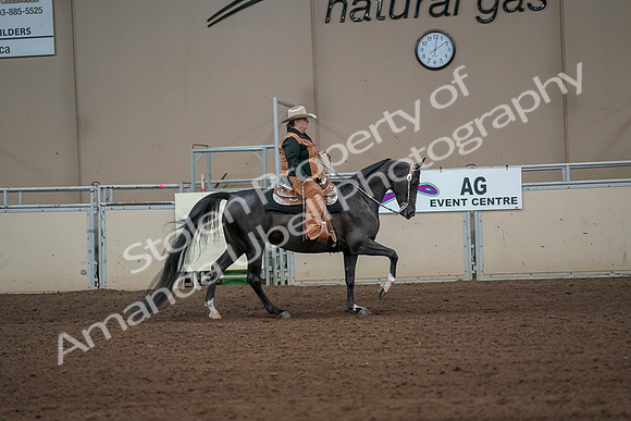2019 Morgan Horse Show - Aug 31, 2019 - 06174