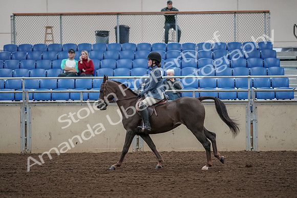 2019 Morgan Horse Show - Aug 31, 2019 - 05129