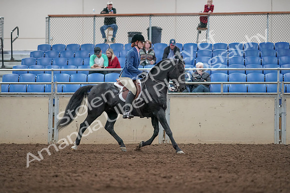 2019 Morgan Horse Show - Aug 31, 2019 - 07404
