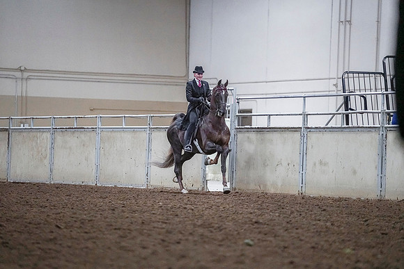 Spring Fling - Saturday - April 20, 2019  -  03615