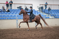 2019 Morgan Horse Show - Aug 31, 2019 - 21971