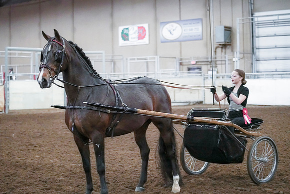 Spring Fling - Saturday - April 20, 2019  -  00318
