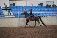 2019 Morgan Horse Show - Sept 01, 2019 - 12745