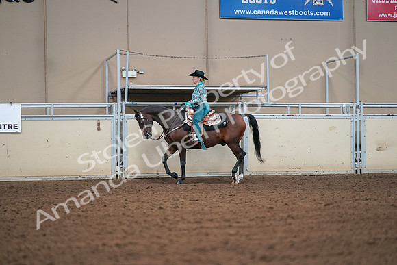 2019 Morgan Horse Show - Aug 30, 2019 - 16799