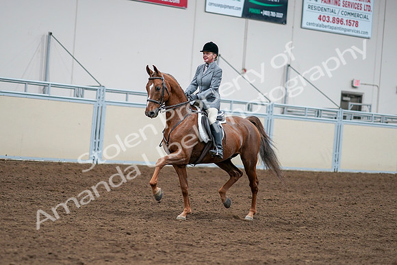2020 - AB Morgan Horse - Sat, Sept 05 - 03267