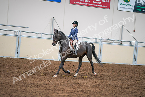 2020 - AB Morgan Horse - Sun, Sept 06 - 08180