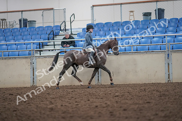 2019 Morgan Horse Show - Aug 31, 2019 - 16731