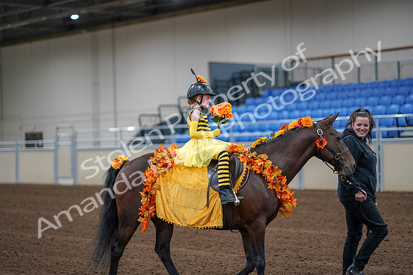 2020 - AB Morgan Horse - Sat, Sept 05 - 05784