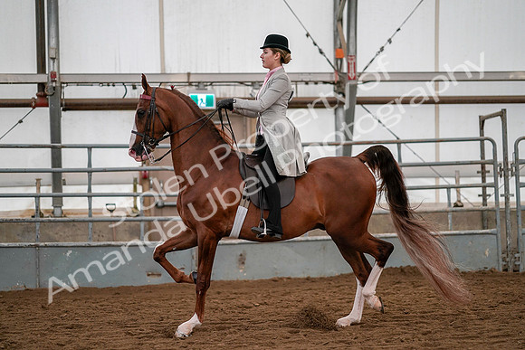July 19, 2019 - 10443