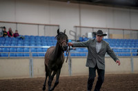 2019 Morgan Horse Show - Aug 31, 2019 - 02843