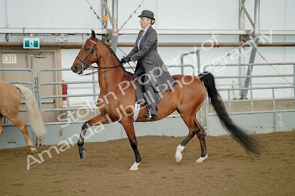 July 21, 2019 - 01634