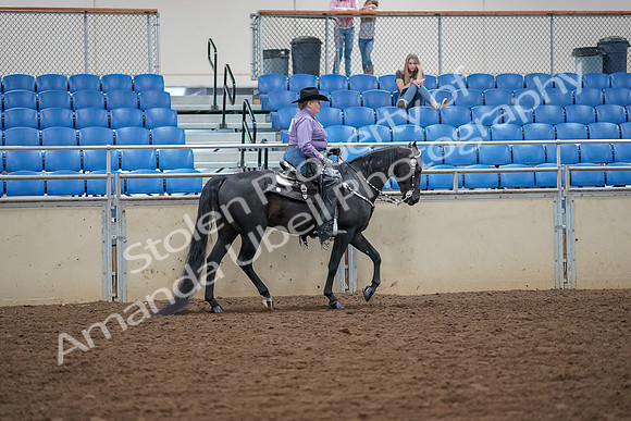 2019 Morgan Horse Show - Aug 30, 2019 - 17057